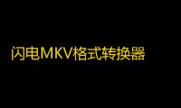 闪电MKV格式转换器 2.9.5 官方版